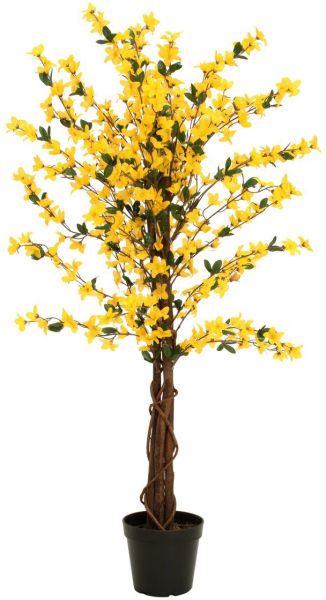 EUROPALMS Forsythienbaum mit 4 Stämmen, gelb, 120 cm