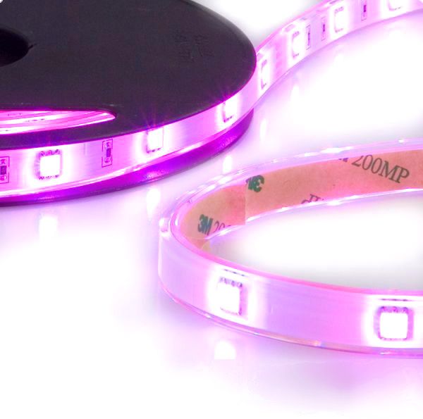 ISOLED LED AQUA-RGB-Flexband, 24V, 7,2W, IP68