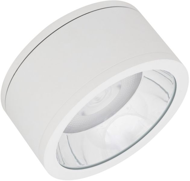 LEDVANCE DOWNLIGHT OBERFLÄCHE IP65 DN 250 P 45W 830 60D WT