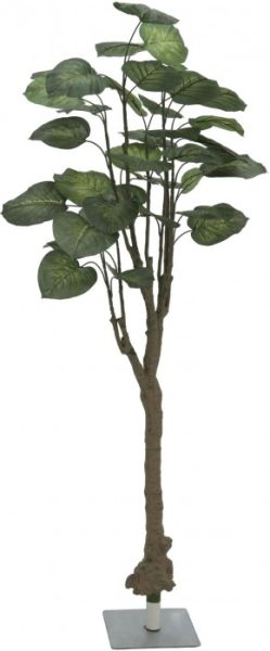 EUROPALMS Pothosbaum, 175cm -B-Stock-