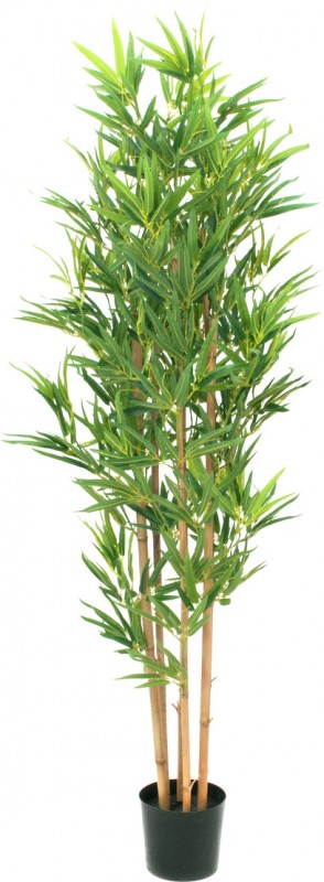 Kunstpflanze, - bei günstig LTT 150cm EUROPALMS deluxe, Bambus