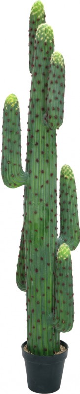 EUROPALMS Mexikanischer Kaktus, Kunstpflanze, günstig - 173cm grün, LTT bei