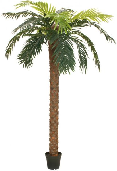 EUROPALMS Phönix Palme deluxe, Kunstpflanze, 300cm -B-Stock-