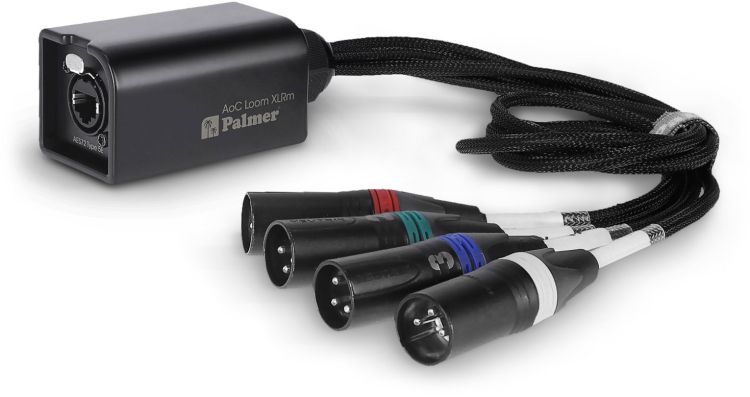 Palmer AoC Loom XLRm - Audio over Cat Multicore-Adapterkabel von etherCON auf 4 x XLR male