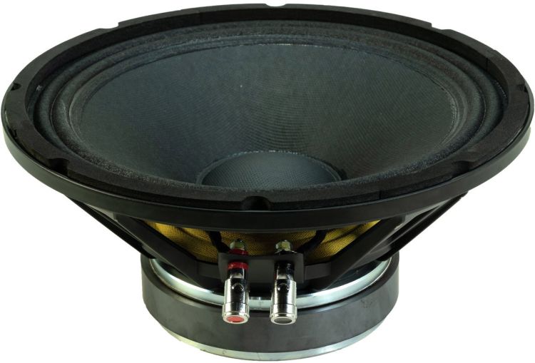 Ersatzteil Tieftöner 10" 8Ohm PAS-210 MK3